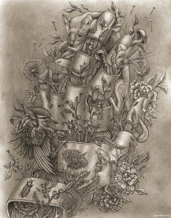 KateOHaraDisperseDrawing_800